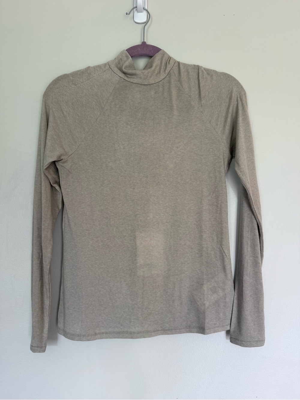 Everlane Long Sleeve Mock Neck Top in Light Taupe